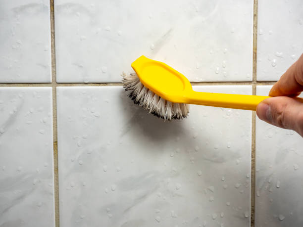Office Mold Removal Services in North Salt Lake, UT