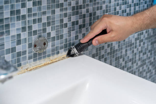 Best Mold Damage Repair  in North Salt Lake, UT