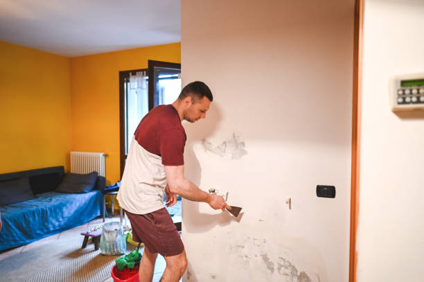 Best Mold Cleaning Services  in North Salt Lake, UT
